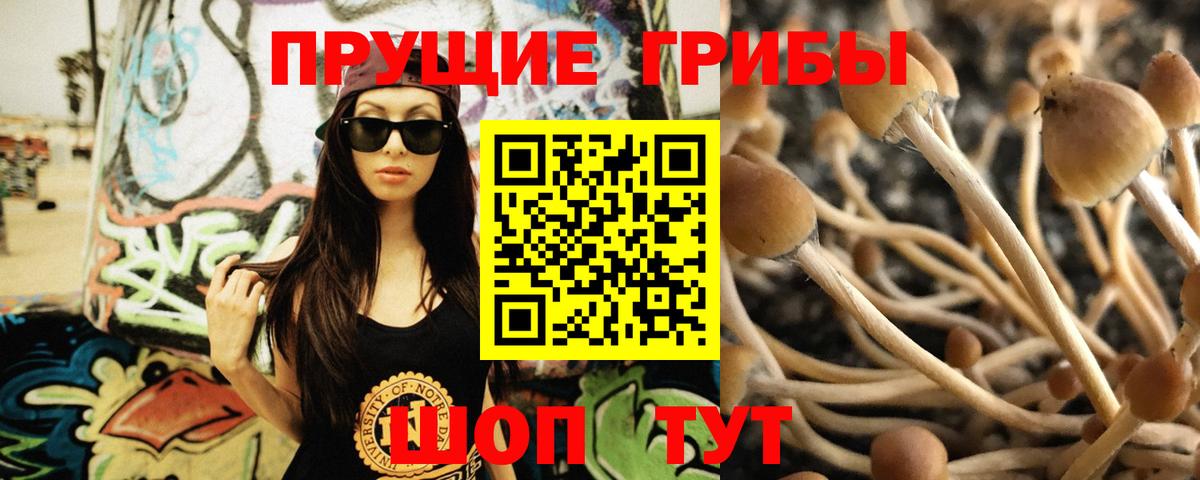 Псилоцибиновые грибы прущие грибы Полевской