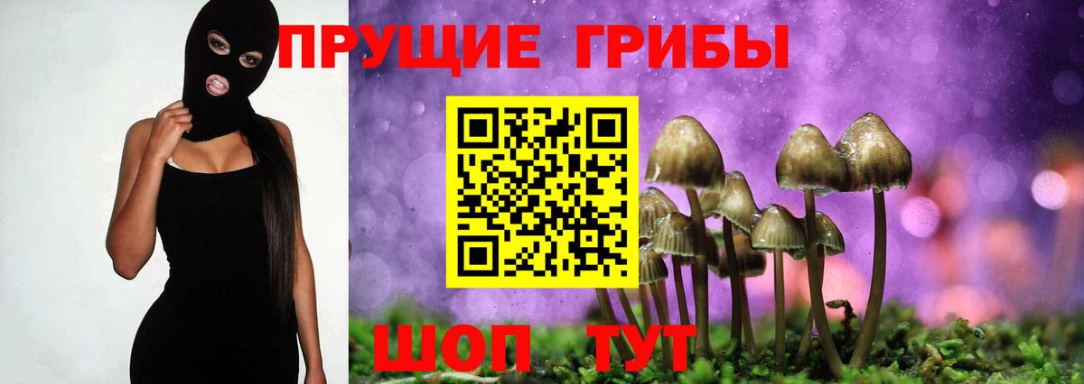 Полевской  Псилоцибиновые грибы ЛСД  Вход с VPN 